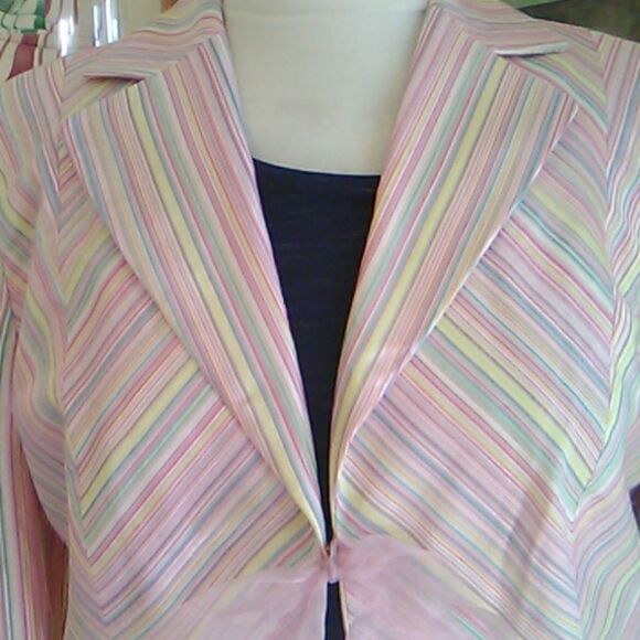 Dana Buchman Pastel Chevron Dedign Jacket - Picture 2 of 12